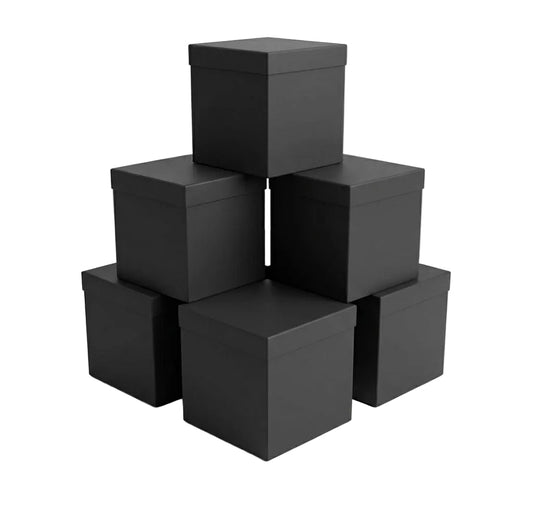 Caja Cartonite (Paquete de 6)