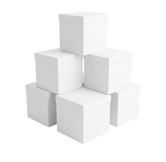 Caja Cartonite (Paquete de 6)